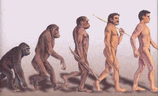 Homo boganus discovered in Western Sydney