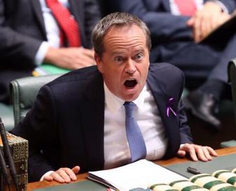 Bill Shorten accidentally reads legislation he agreed to pass.